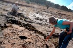 The remarkable petroglyphs of Lake La Luz