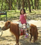 Camping at Agua Dulce: fresh air, cool river & pony rides too