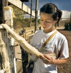 The rope makers of San Miguel Cuyutlán; hidden, humble and highly talented