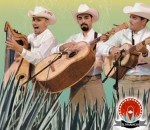 Traditional Mariachis lead off the festival this week